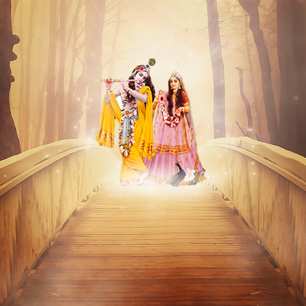 shrimad-bhagvatam (2)